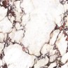 Calacatta Viola Marble Matt 60x60cm (box of 4)