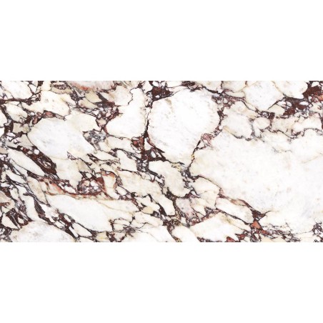 Calacatta Viola Marble Matt 60x120cm (box of 2)
