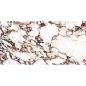 Calacatta Viola Marble Matt 60x120cm (box of 2)