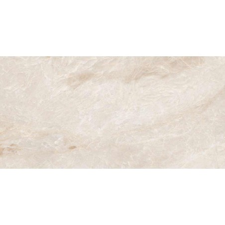 Taj Mahal Matt 60x120cm (box of 2)
