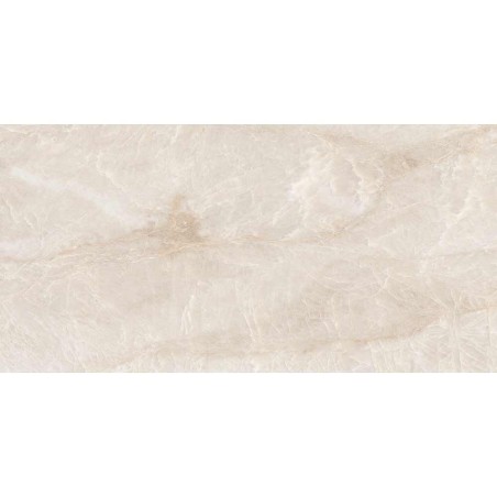 Taj Mahal Polished 60x120cm (box of 2)