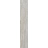 Circle Wood Ivory Matt 19.5x120cm (box of 5)