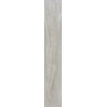 Circle Wood Ivory Matt 19.5x120cm (box of 5)