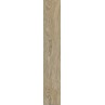 Circle Wood Beige Matt 19.5x120cm (box of 5)
