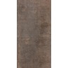 Evoque Metal Brown Matt 60x120cm (box of 2)