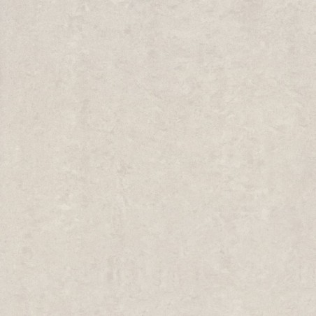 Lounge Light Grey Unpolished 60x60cm (box of 4)