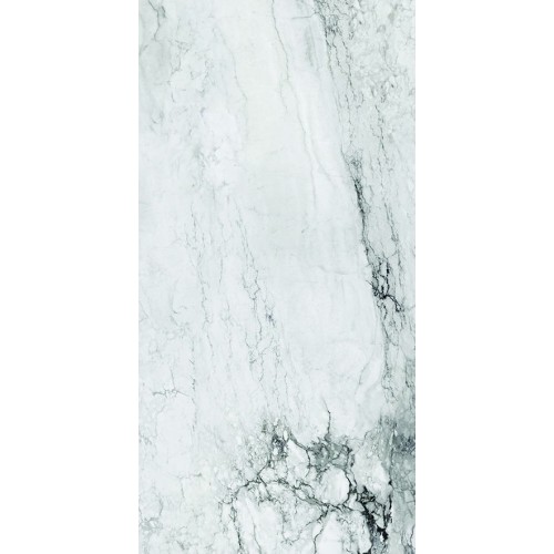 Medicea Marble White Matt 60x120cm (box of 2)