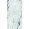 Medicea Marble White Matt 60x120cm (box of 2)