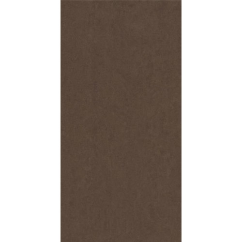 Lounge Mocca Polished 30x60cm (box of 6)