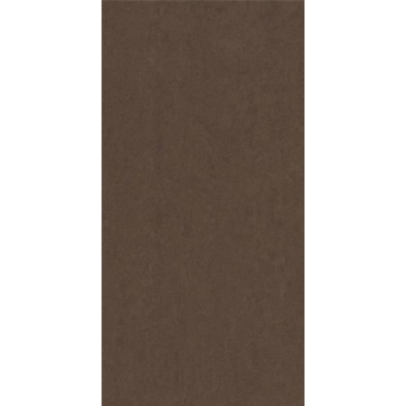 Lounge Mocca Polished 30x60cm (box of 6)