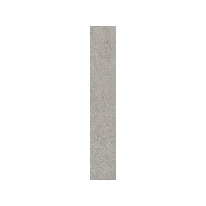 Shine Stone Grey Matt 10x60cm (box of 18)