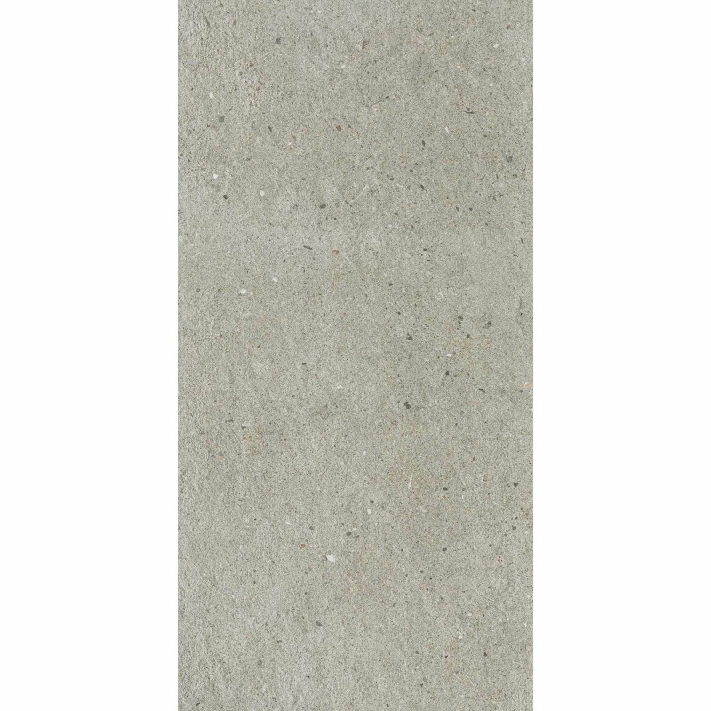 Harbour Stone Grey 60x120cm (box of 2)