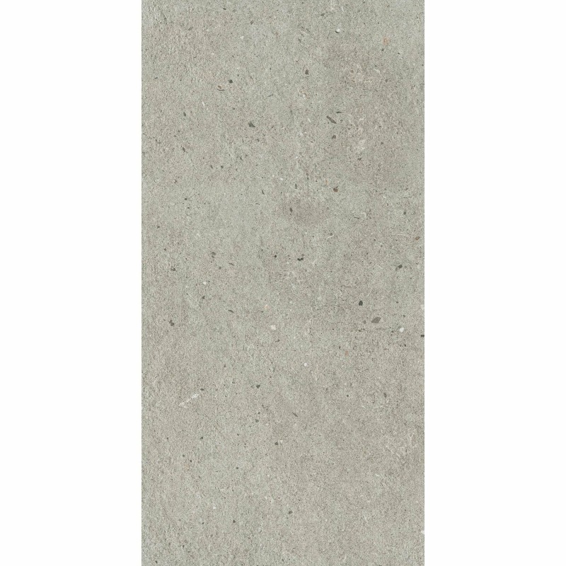 Harbour Stone Grey 60x120cm (box of 2)
