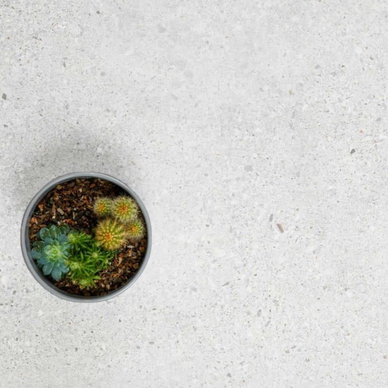 Manhattan White 60x120cm (box of 2)