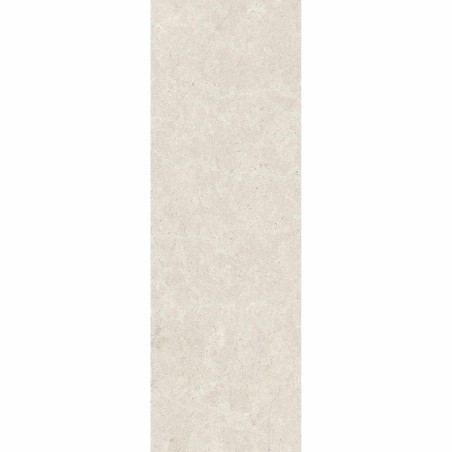 Tranquil Belstone Grey 30x90cm (box of 4)