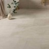 Astra Ivory 60x120cm (box of 2)