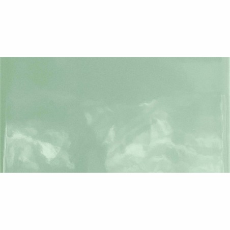 Monocolours Alga Liso Gloss 10x20cm (box of 50)