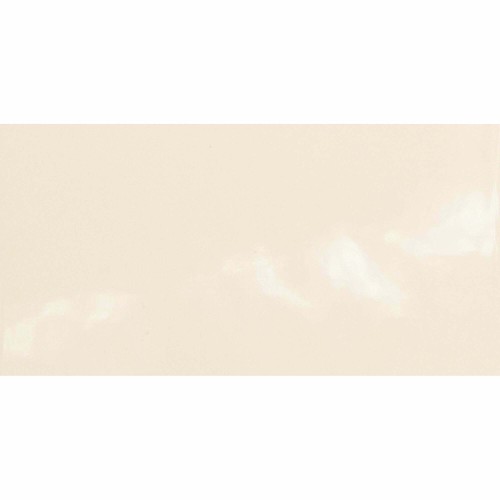 Monocolours Hueso Liso Gloss 10x20cm (box of 50)