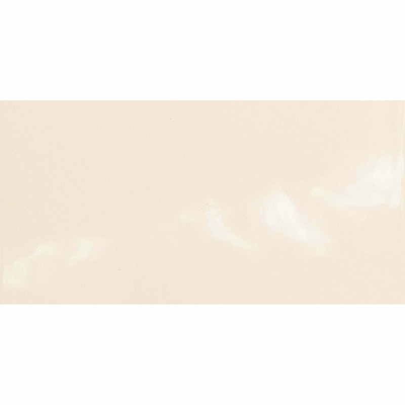 Monocolours Hueso Liso Gloss 10x20cm (box of 50)