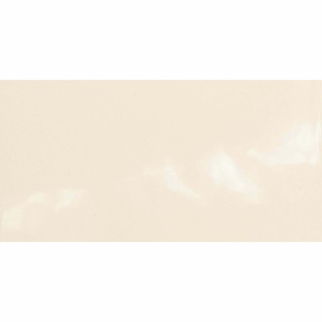 Monocolours Hueso Liso Gloss 10x20cm (box of 50)