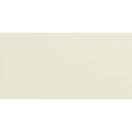 Monocolours Hueso Liso Matt 10x20cm (box of 50)
