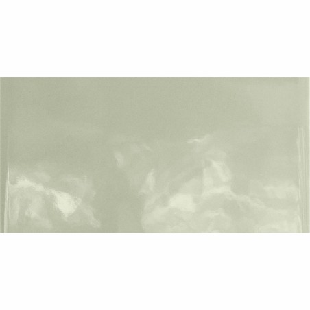 Monocolours Roca Liso Gloss 10x20cm (box of 50)