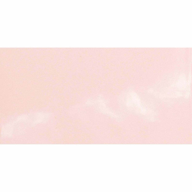 Monocolours Rosa Liso Gloss 10x20cm (box of 50)