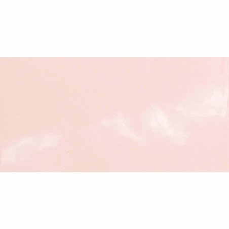 Monocolours Rosa Liso Gloss 10x20cm (box of 50)