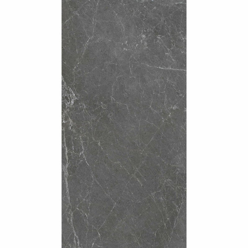 Signature Murano Matt Gris 60x120cm (box of 2)
