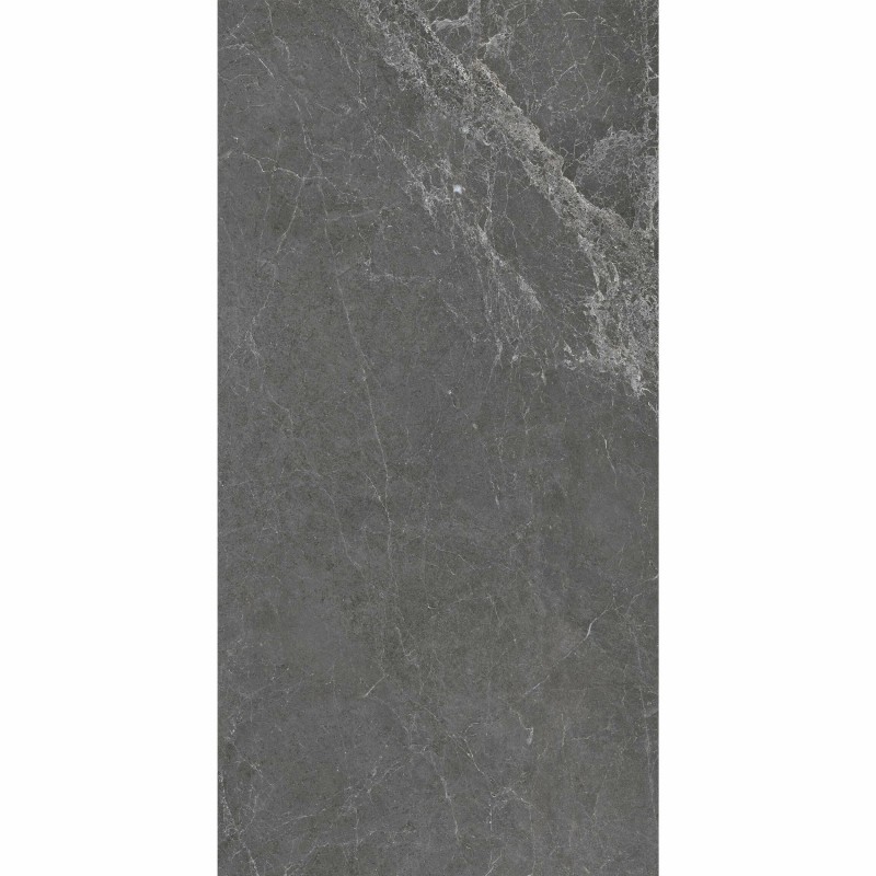 Signature Murano Matt Gris 60x120cm (box of 2)