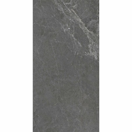 Signature Murano Matt Gris 60x120cm (box of 2)