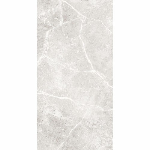 Agora Light Grey Gloss 30x60cm (box of 9)