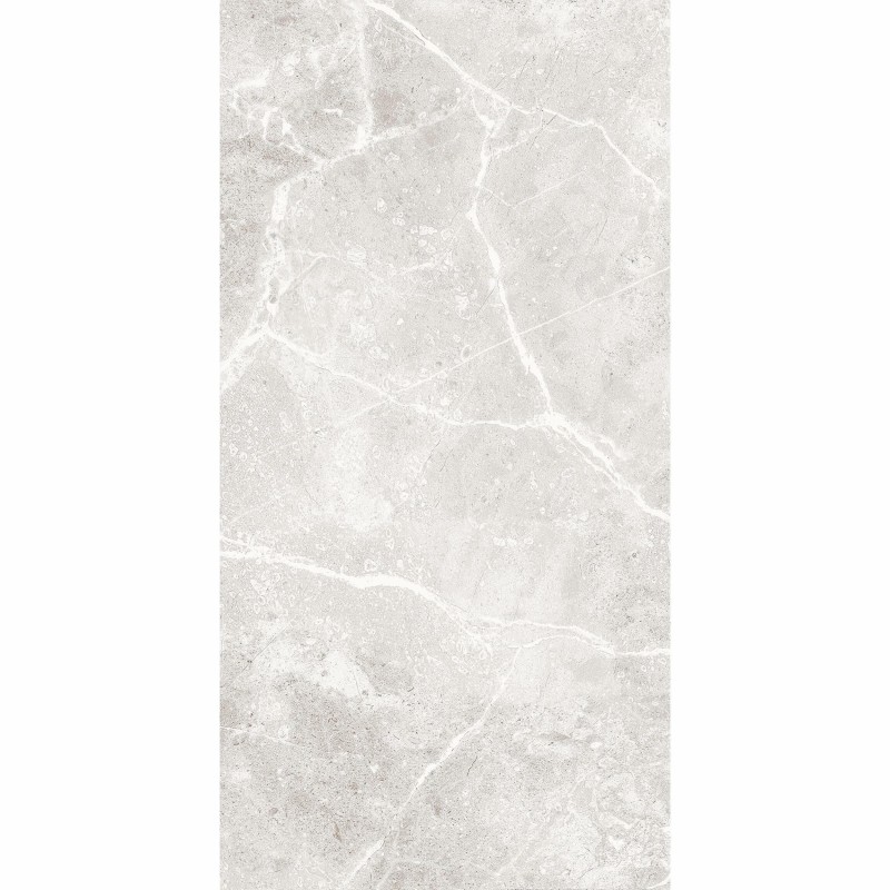 Agora Light Grey Gloss 30x60cm (box of 9)