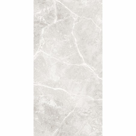 Agora Light Grey Gloss 30x60cm (box of 9)